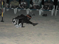 m2003-07Jamaica032F.jpg