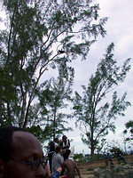 m2003-07Jamaica099C.jpg