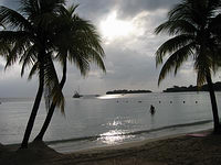 m2003-07Jamaica196F.jpg