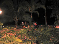 m2003-07Jamaica210F.jpg