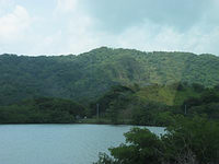 m2003-07Jamaica247F.jpg