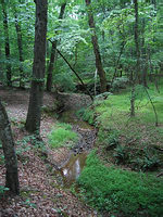 Creek (sans any hard laborers)