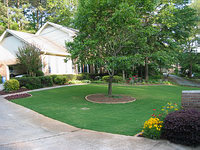 House / Front Yard - Angle 1