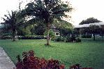 Wedding gazebo